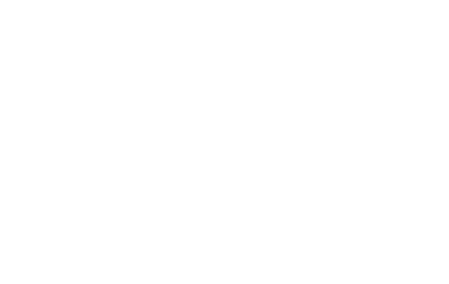 Hayden Transport B.V.